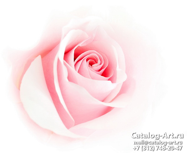 Натяжные потолки с фотопечатью - Розовые розы 14
